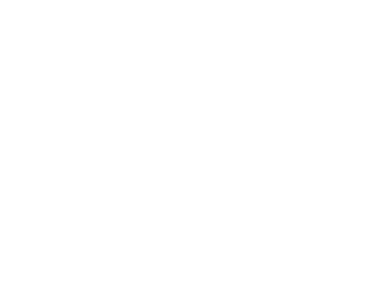 tipi-dindien-decoration-poetique-piece-unique-bois-artisanale-quimper-bretagne-logo-footer